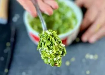 A spoonful of thick and very green chimichurri sauce
